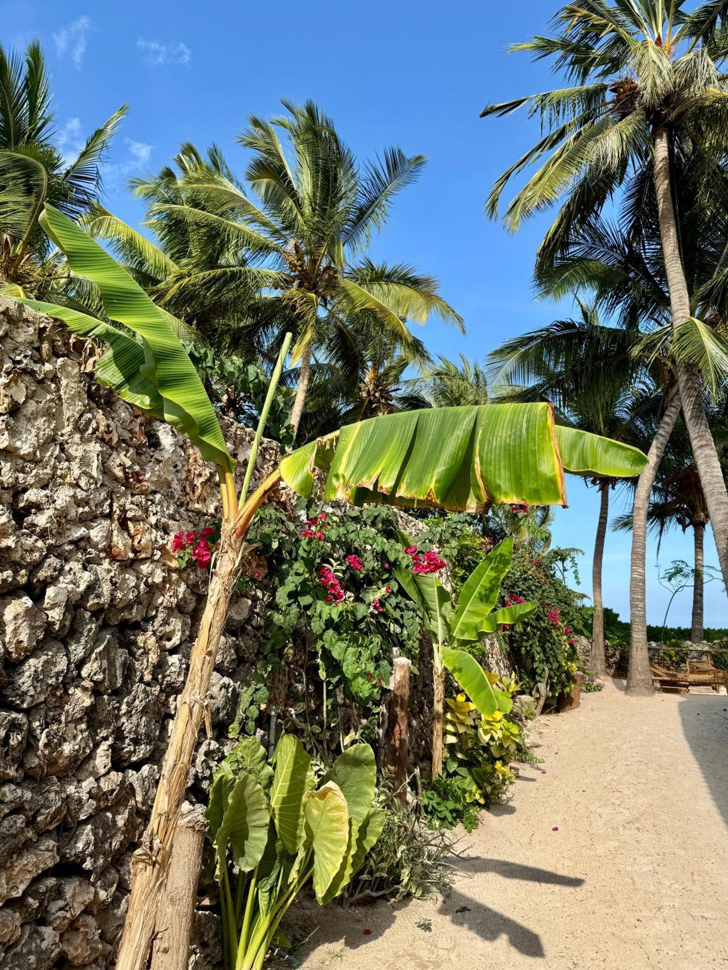 Villa Kipara - Private Beach & Pool 프와니 음찬가니 외부 사진