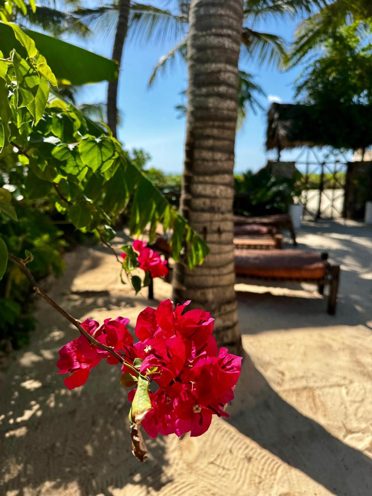 Villa Kipara - Private Beach & Pool 프와니 음찬가니 외부 사진